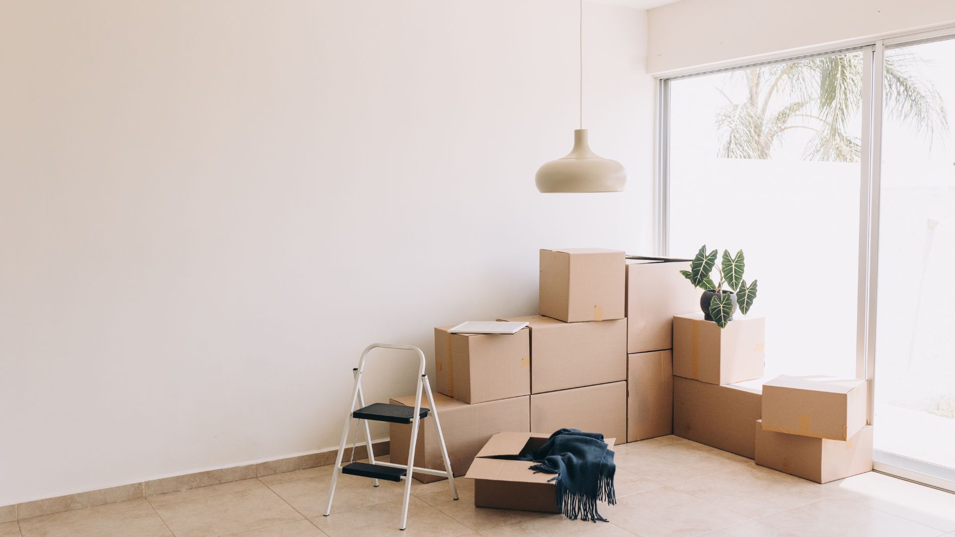 Moving boxes stacked in a room with a pendant lamp and houseplant