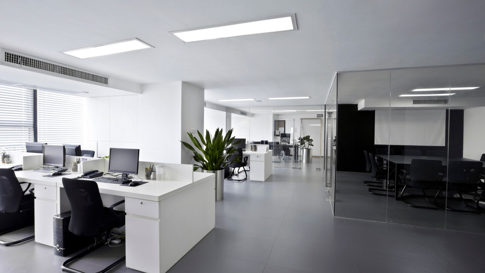 Modern, minimalist office space with white desks, computers, and green plants