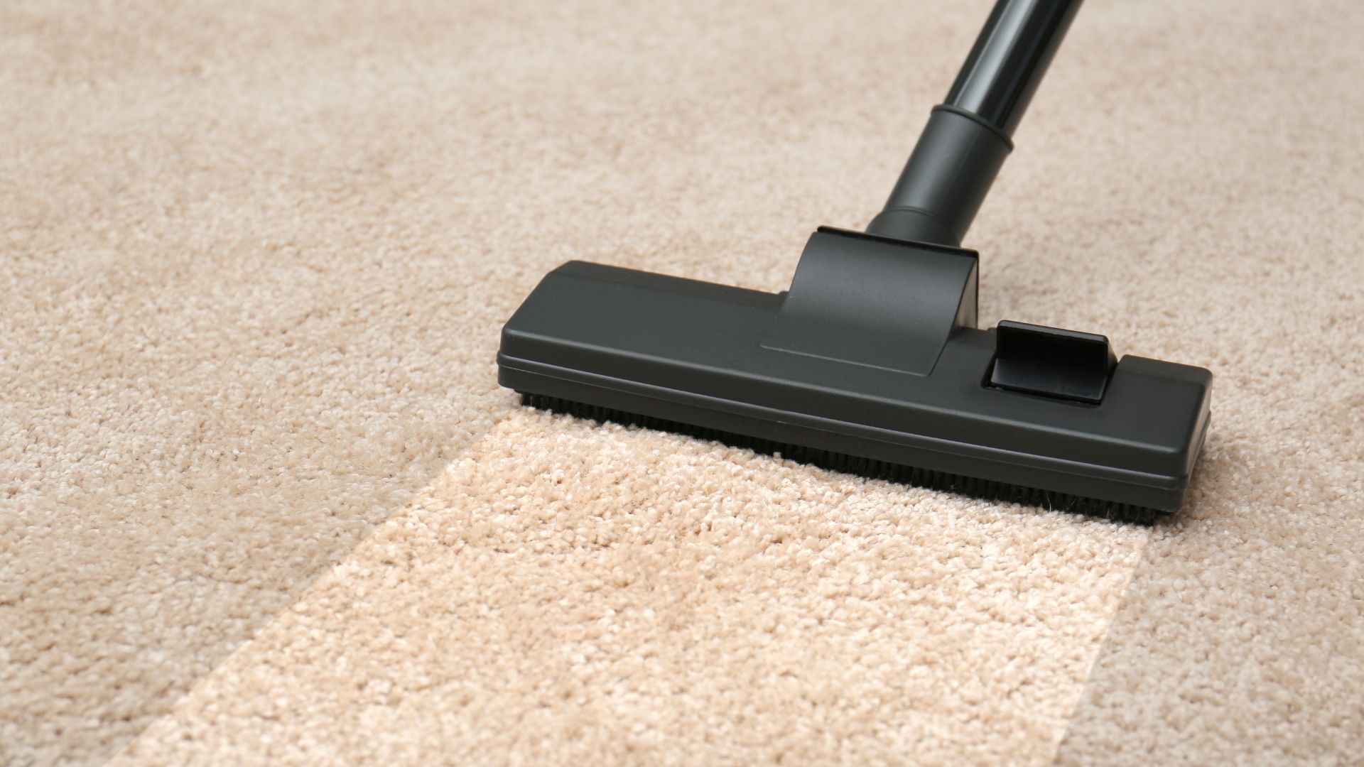 Black vacuum cleaner head cleaning light beige carpet